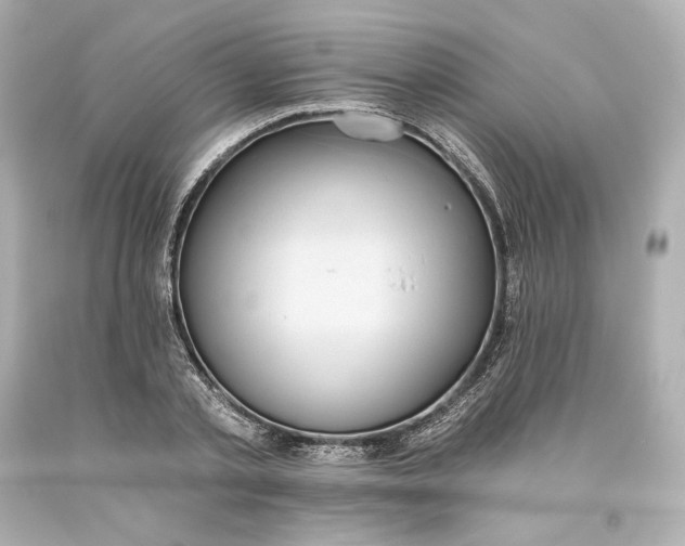 X0000093620789200710291225