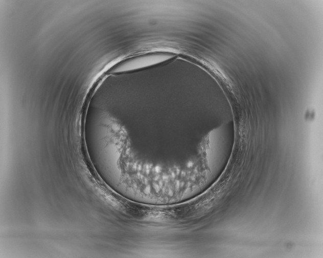 X0000093620790200710291225