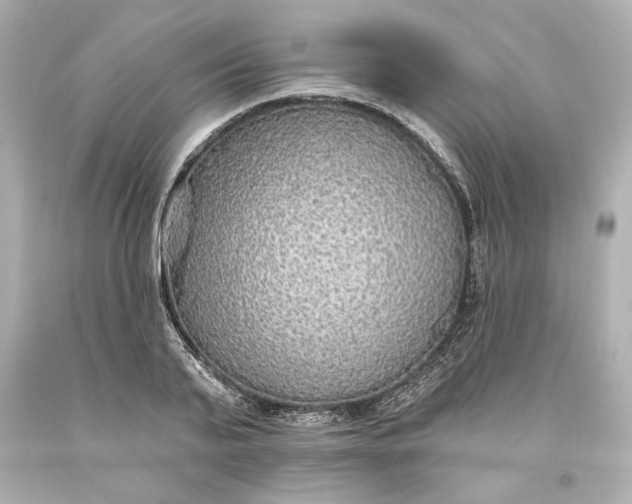 X0000093620791200710291225