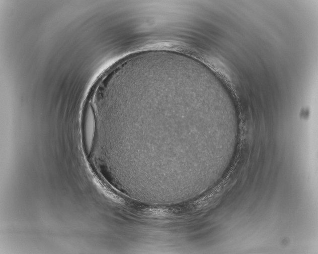 X0000093620792200710291225
