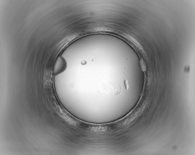 X0000093620793200710291225