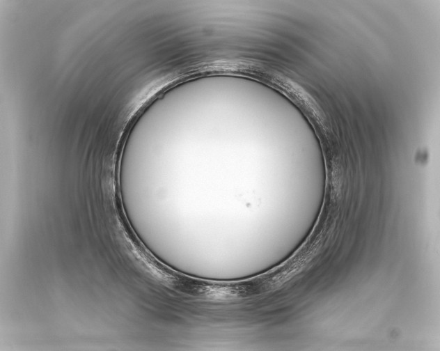 X0000093620794200710291225
