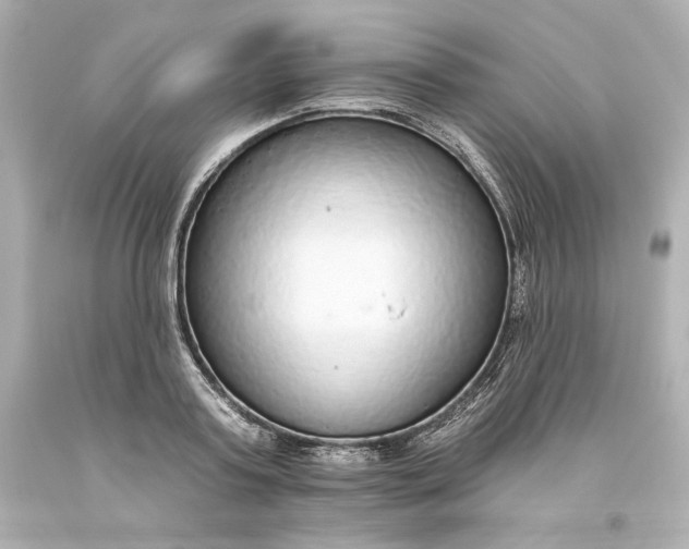 X0000093620795200710291225