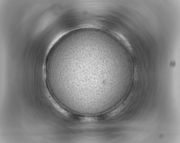 X0000093620796200710291225