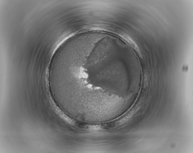 X0000093620798200710291225