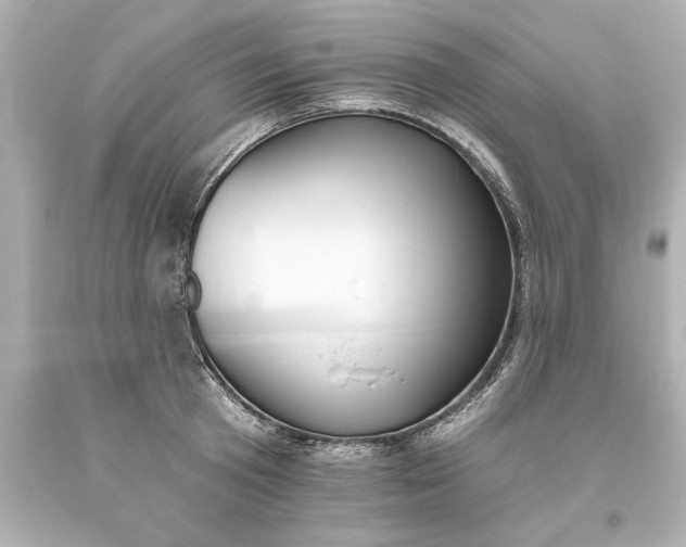 X0000093620801200710291225