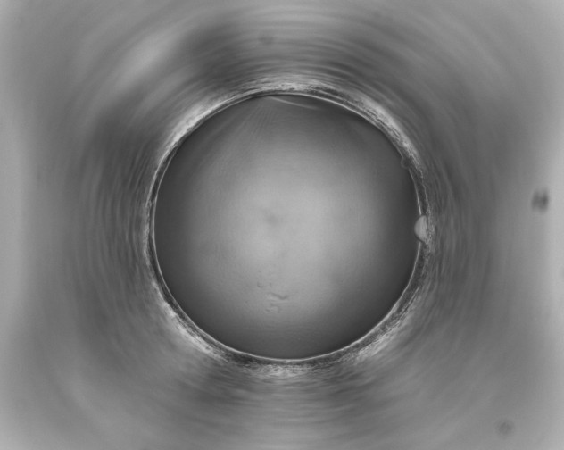 X0000093620802200710291225