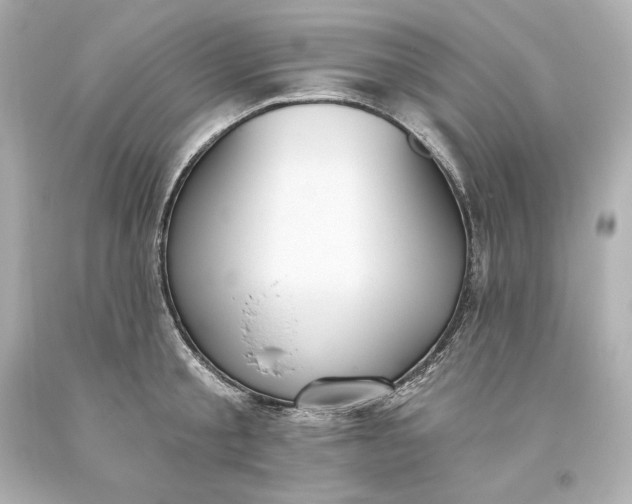 X0000093620805200710291225