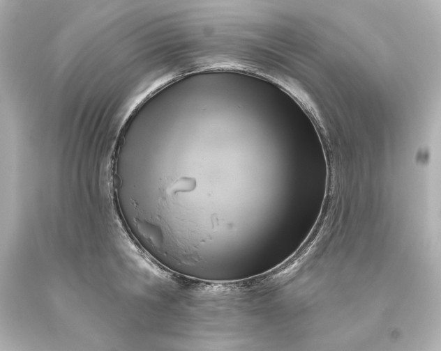X0000093620806200710291225