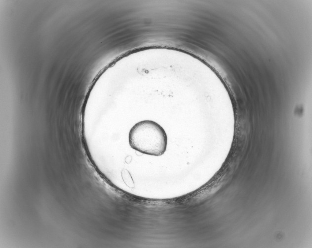 X0000093620807200710291225