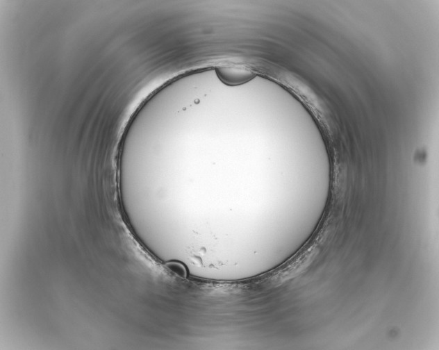 X0000093620808200710291225