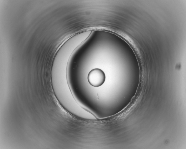 X0000093620809200710291225