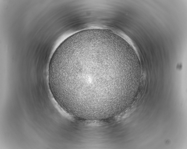 X0000093620811200710291225