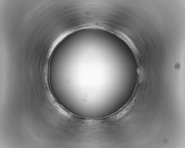 X0000093620812200710291225