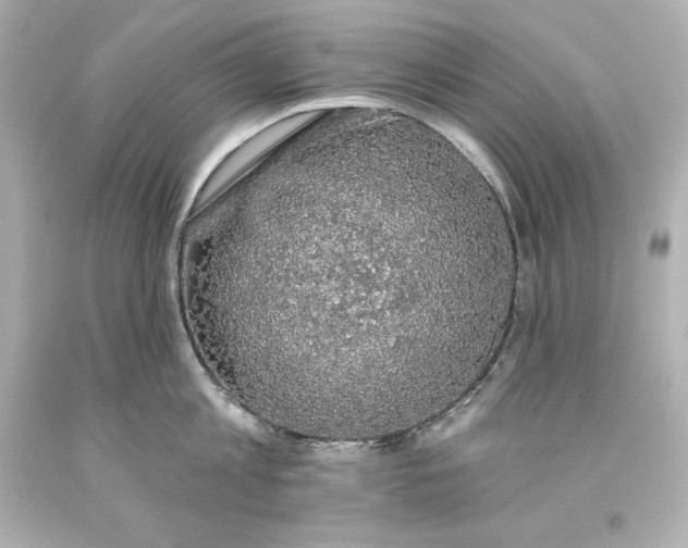 X0000093620813200710291225