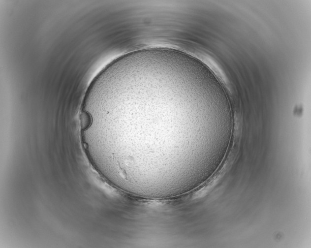 X0000093620814200710291225