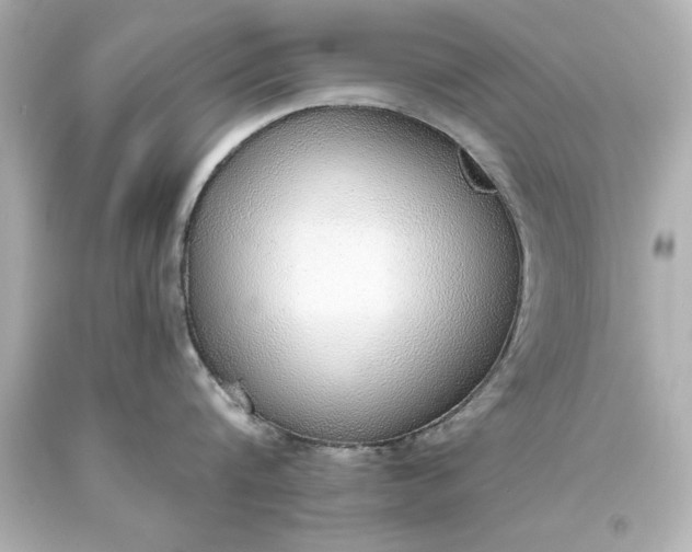 X0000093620816200710291225