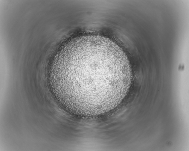 X0000093620817200710291224