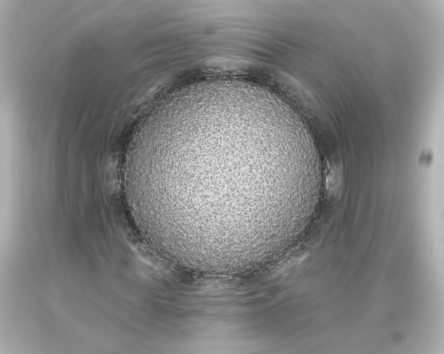 X0000093620819200710291224
