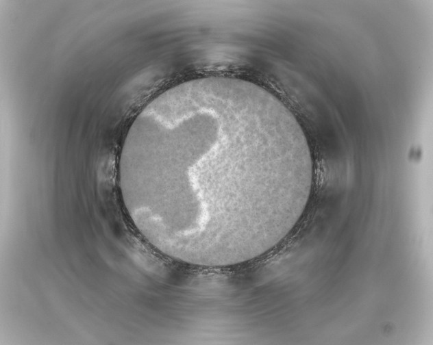 X0000093620820200710291224