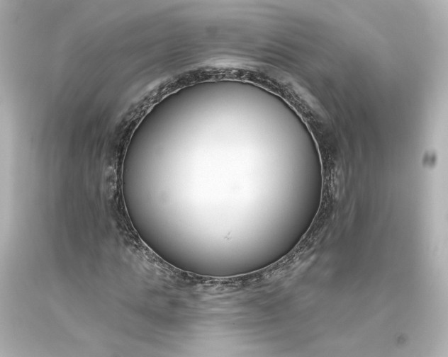 X0000093620821200710291224