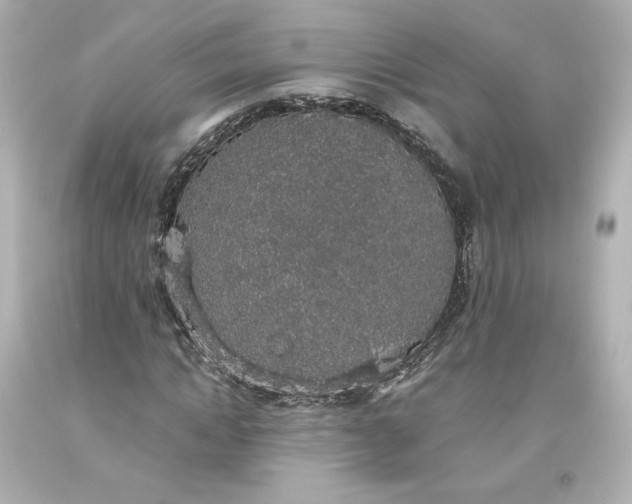 X0000093620822200710291224