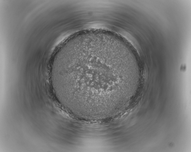 X0000093620823200710291224