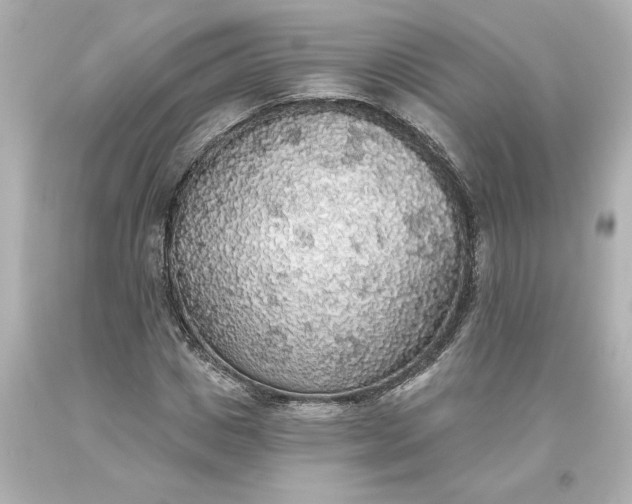 X0000093620825200710291224