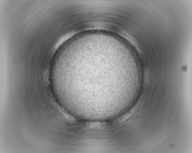 X0000093620826200710291224