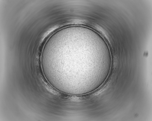 X0000093620827200710291224