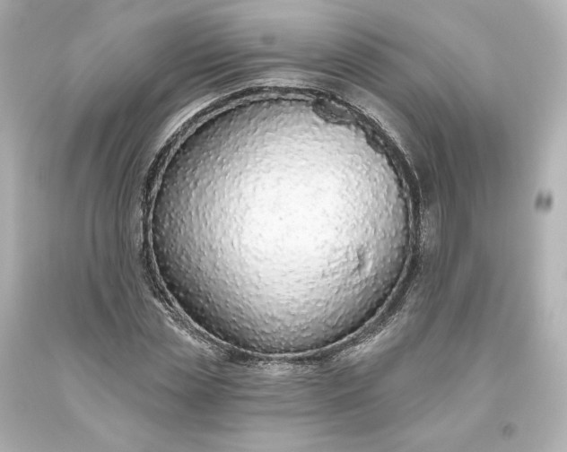 X0000093620829200710291224