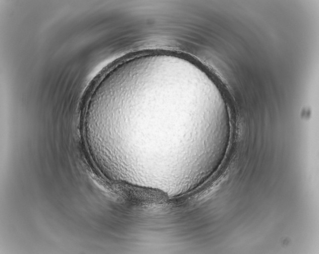 X0000093620830200710291224