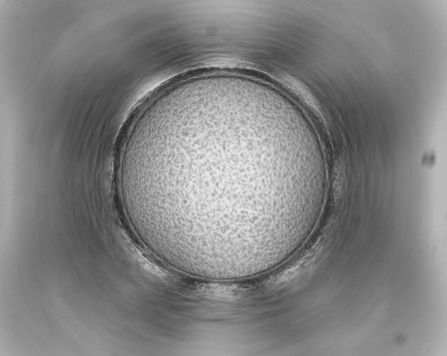 X0000093620831200710291224