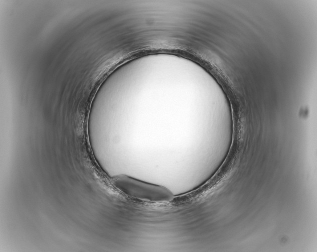 X0000093620833200710291224