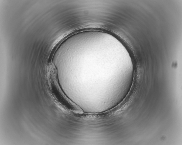 X0000093620834200710291224