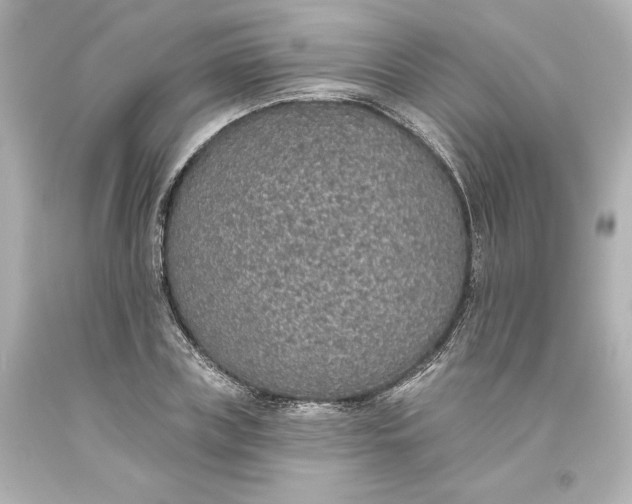 X0000093620835200710291224