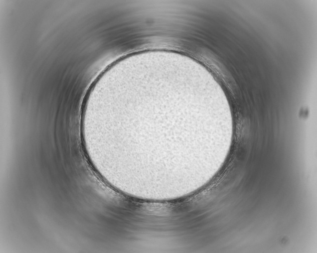 X0000093620836200710291224
