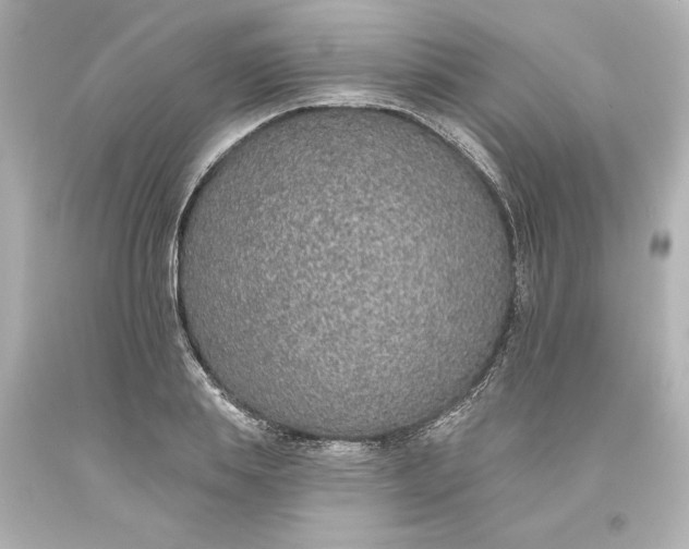 X0000093620839200710291225