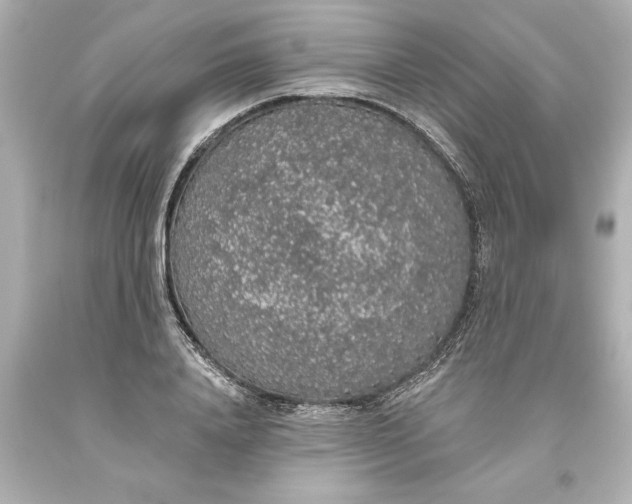 X0000093620840200710291225