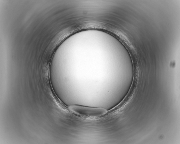 X0000093620841200710291225