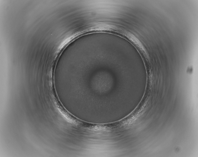 X0000093620842200710291225
