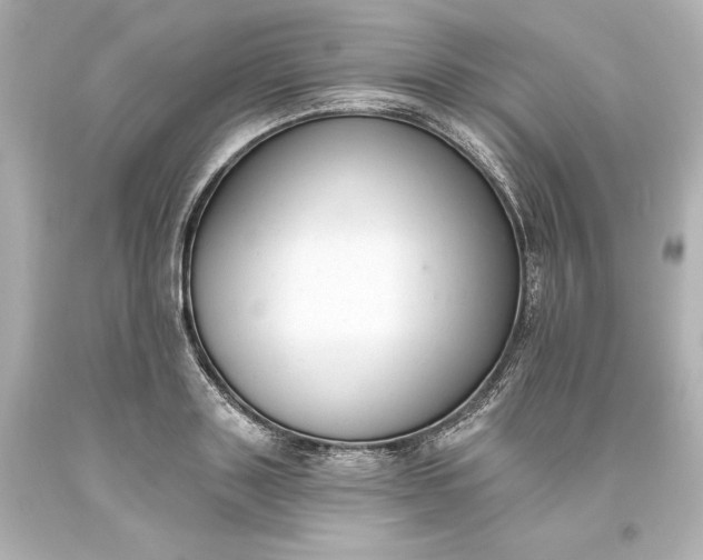 X0000093620843200710291225