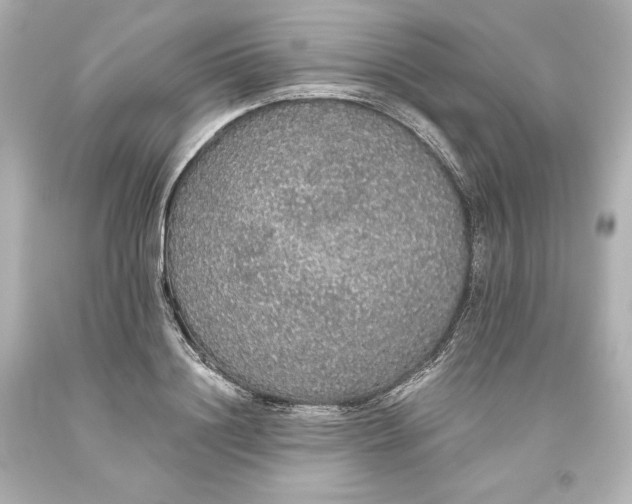 X0000093620844200710291225