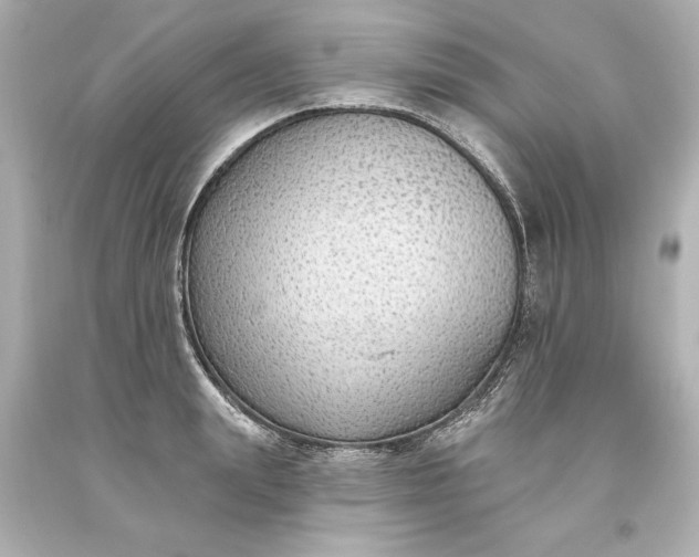 X0000093620847200710291225