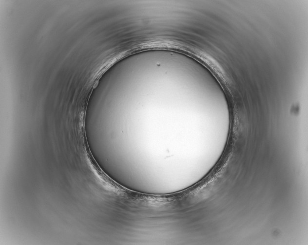 X0000093620849200710291225