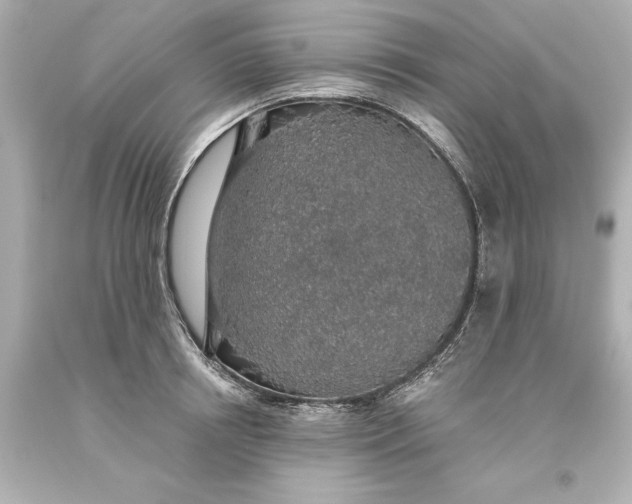 X0000093620850200710291225