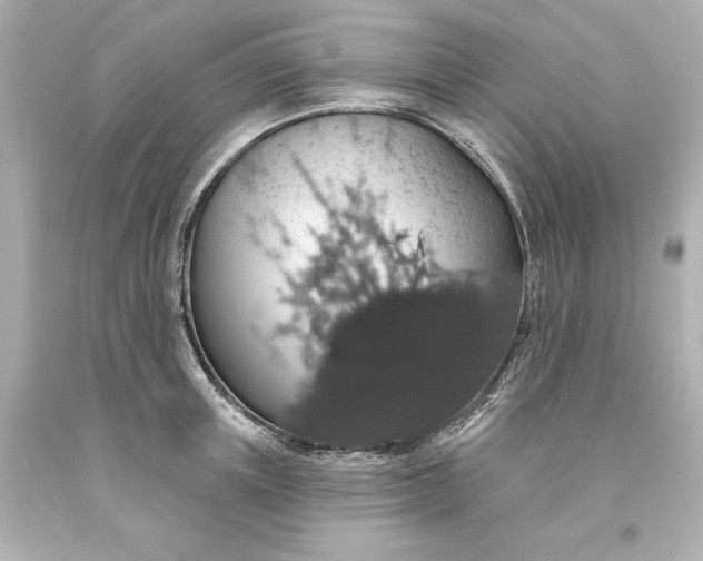 X0000093620851200710291225