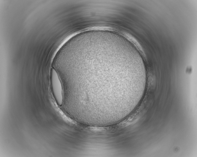 X0000093620852200710291225
