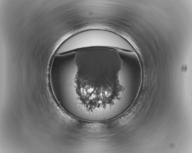 X0000093620853200710291225