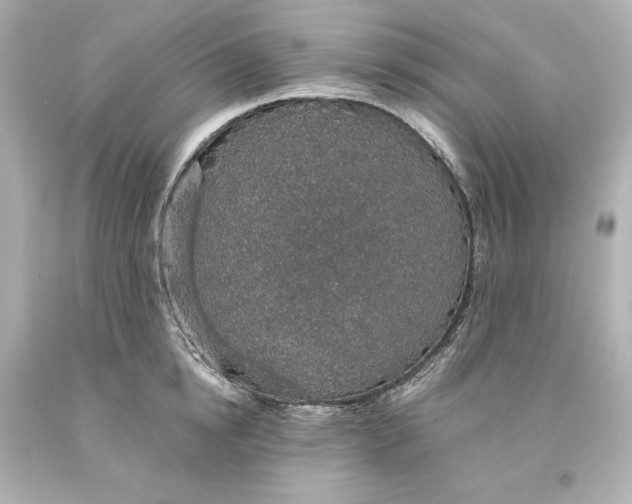 X0000093620854200710291225